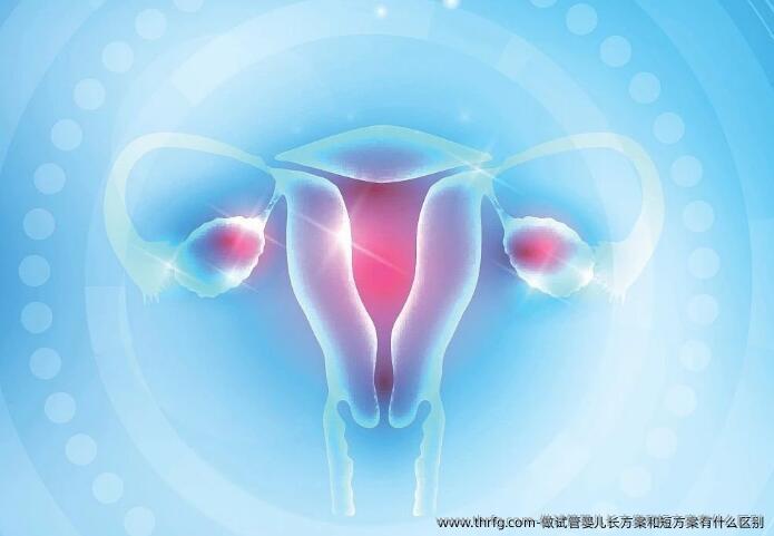 做试管婴儿长方案和短方案有什么区别