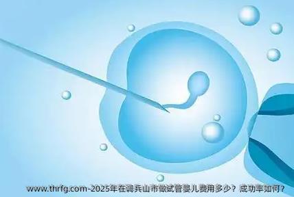 2025年在调兵山市做试管婴儿费用多少？成功率如何？