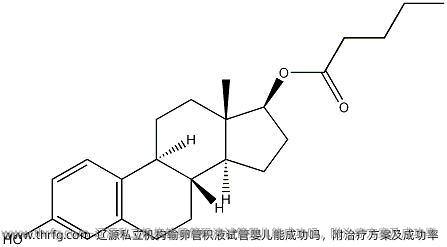 辽源私立机构输卵管积液试管婴儿能成功吗，附治疗方案及成功率