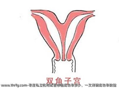 枣庄私立机构试管移植成功率多少，一文详解成功率数据