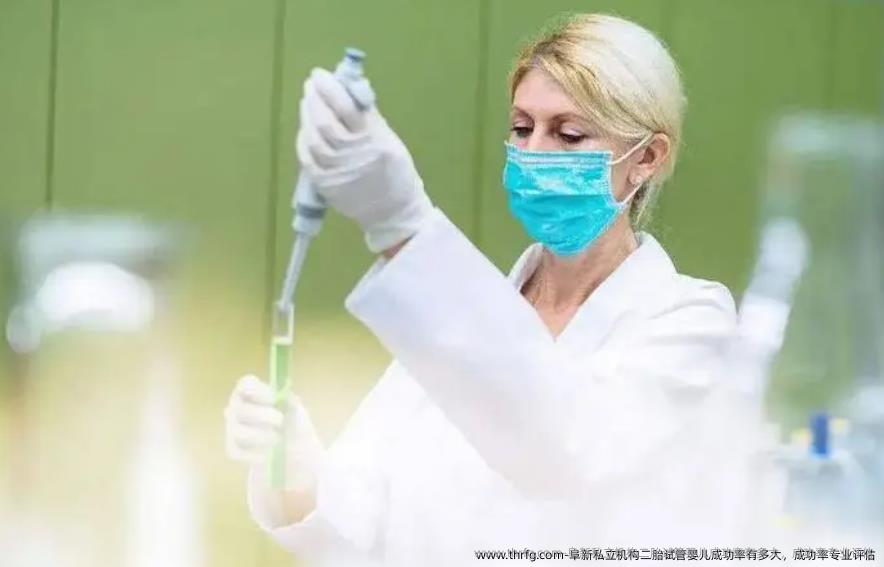 阜新私立机构二胎试管婴儿成功率有多大，成功率专业评估