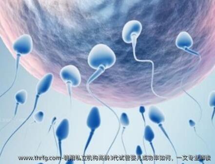 朝阳私立机构高龄3代试管婴儿成功率如何，一文专业解读