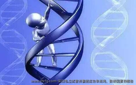 深圳私立试管养囊胚成功率高吗，影响因素有哪些
