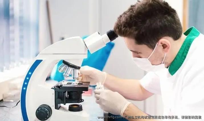 广州私立机构试管冻胚成功率有多高，详解影响因素