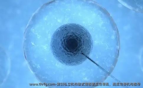 深圳私立机构做试管哪里成功率高，高成功率机构推荐