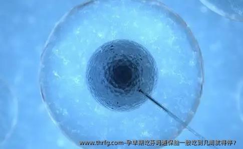孕早期吃芬吗通保胎一般吃到几周就得停？