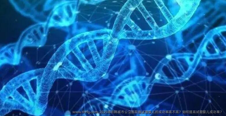 2025年在韩城市公立医院做试管婴儿的成功率高不高？如何提高试管婴儿成功率？