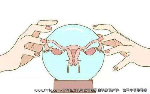 宝鸡私立机构试管费用报销政策详解，如何申请更便捷