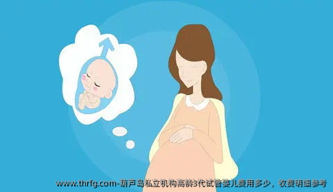 葫芦岛私立机构高龄3代试管婴儿费用多少，收费明细参考