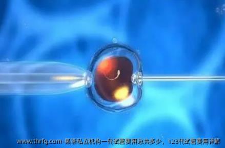 果洛私立机构一代试管费用总共多少，123代试管费用详解