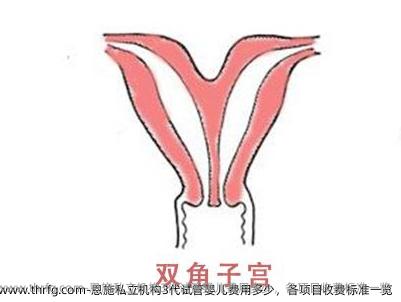 恩施私立机构3代试管婴儿费用多少，各项目收费标准一览