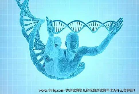 详述试管婴儿的优缺点试管手术为什么会停胎？