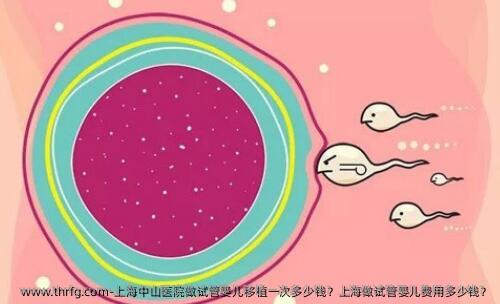 上海中山医院做试管婴儿移植一次多少钱？上海做试管婴儿费用多少钱？