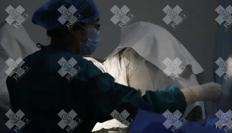泰国试管婴儿排卵过程全解析