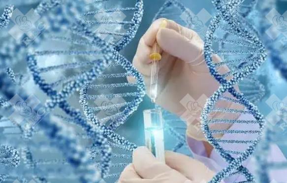 2025浙江试管婴儿费用医保可以报销吗？附试管医保报销条件和流程！