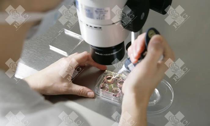 上海试管婴儿医院全攻略：揭秘多样化生殖诊疗服务项目
