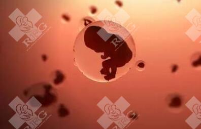 2025年肇庆较好的三代试管医院是哪几家 肇庆做试管婴儿哪里成功率高