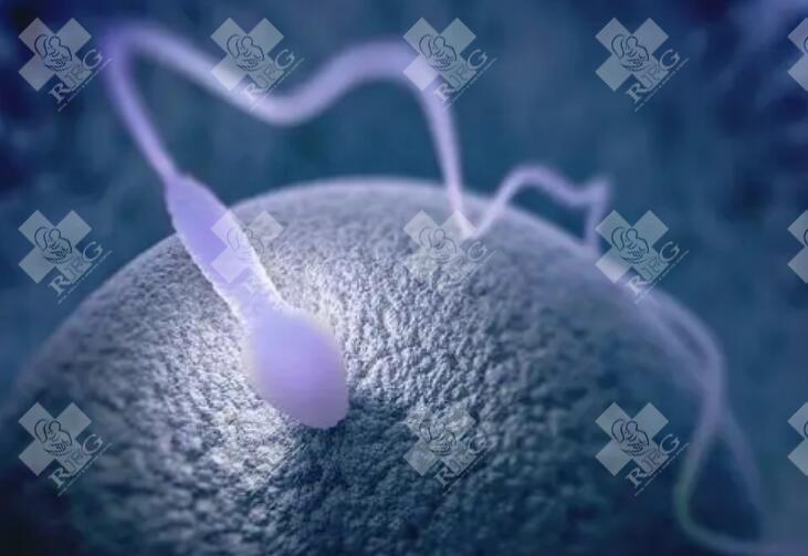 哈萨克斯坦做三代试管较优秀的医院怎么选择 哈萨克斯坦试管婴儿费用明细！