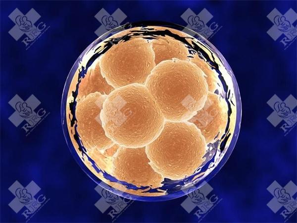 试管移植后生化的征兆？20252生化妊娠的10个征兆务必了解