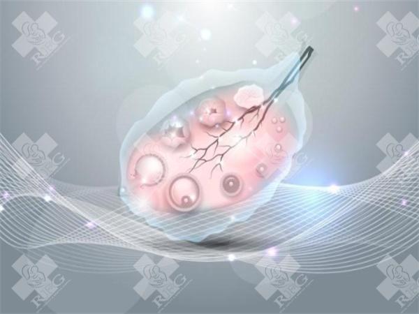 山西试管婴儿2025年全解析费用成功率?一目了然助你轻松了解!