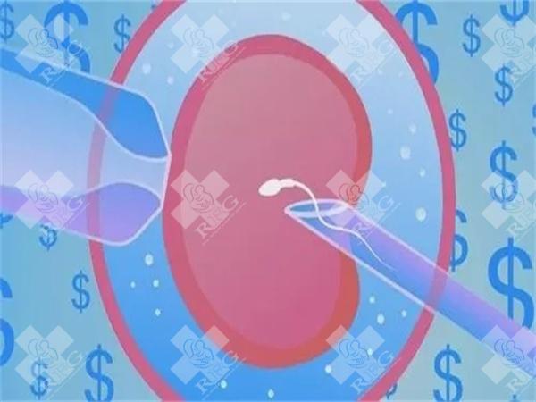 试管婴儿成功率做试管婴儿需要什么条件？