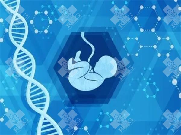 什么样的试管婴儿适合试管婴儿？国内试管婴儿适合哪些疾病？
