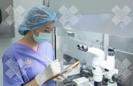 2025年常见去柬埔寨做试管婴儿被骗经历分享