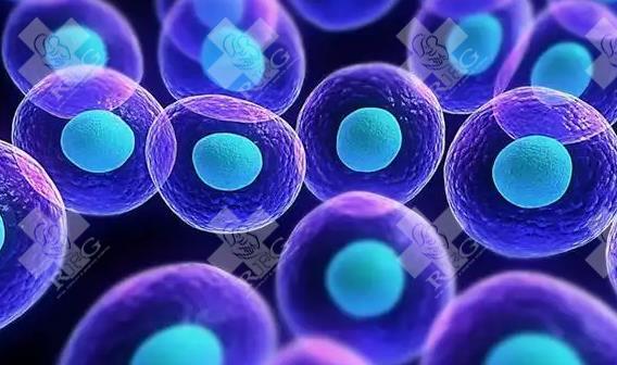 重庆西南医院生殖专家做三代试管婴儿费用贵不贵？