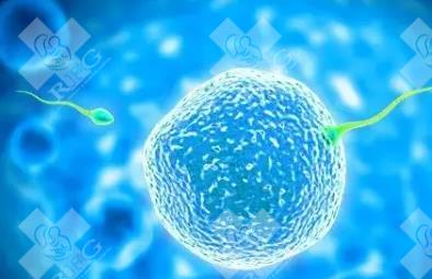 2025年昆明试管婴儿医院为您的生育之路保驾护航
