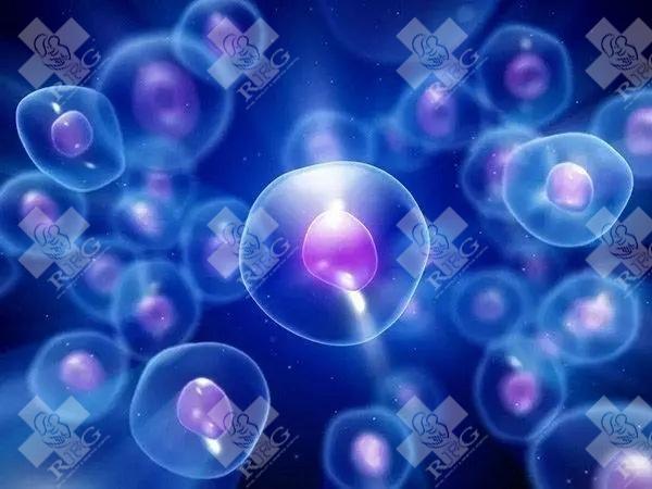 浙江杭州哪做三代试管比较好？优选医院指南