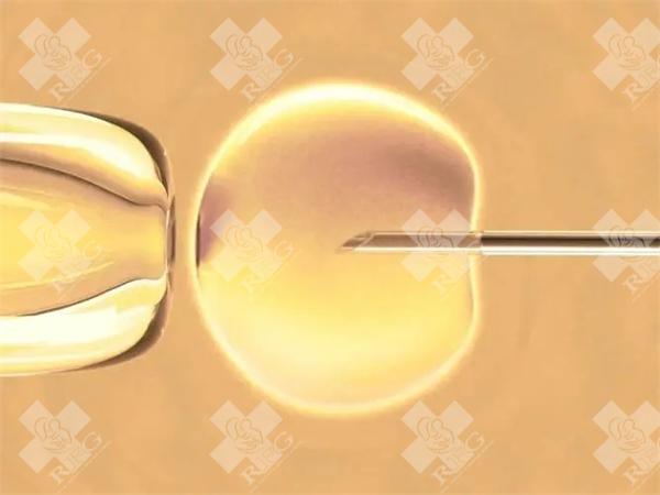 35岁以上怎样才能快速怀孕？大龄女性备孕策略