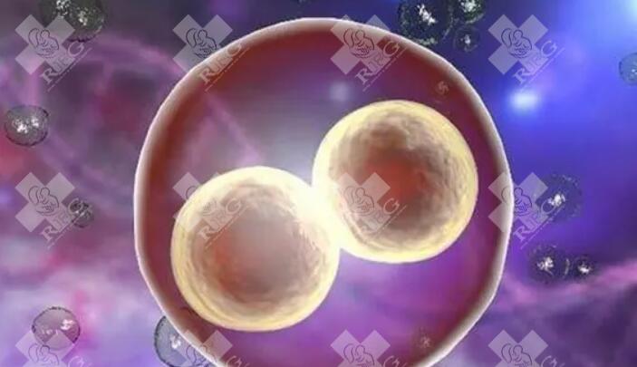2025年衡阳第三代试管婴儿多少钱,衡阳附二试管要多少钱！