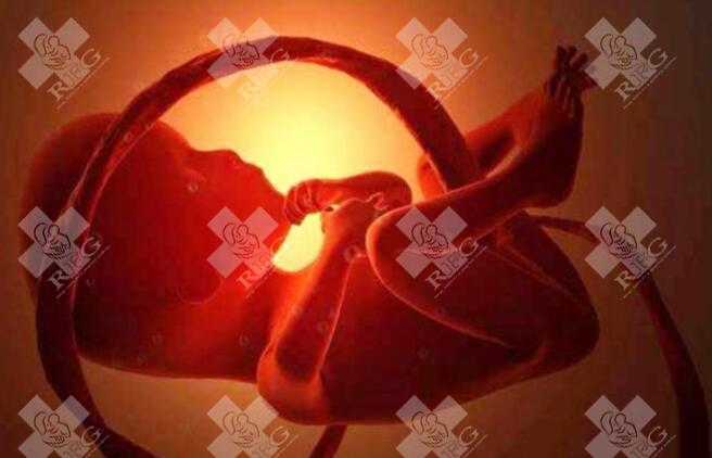 2025做三代试管婴儿价格多少钱合适,国内做第三代试管婴儿费用！