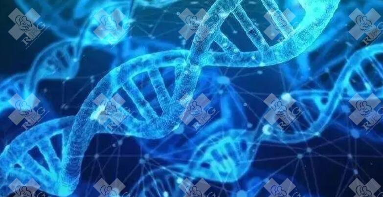 40岁试管婴儿怀孕成功率？40岁以上试管婴儿成功率2025？
