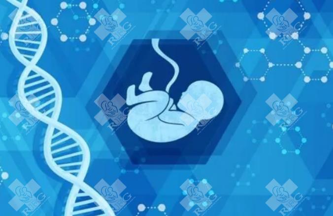 第三代试管婴儿费用参考，单基因疾病预算7-8万元