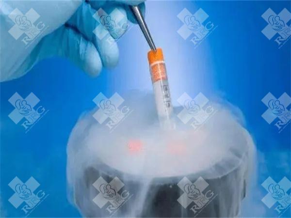 新乡医学院第三附属医院做试管婴儿需要多少钱?具体花费在哪些项目