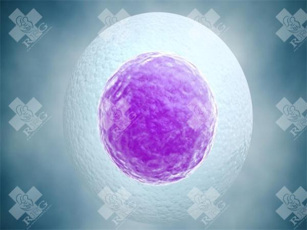 2025三明做三代试管婴儿的费用高不高?费用明细是怎么样的?