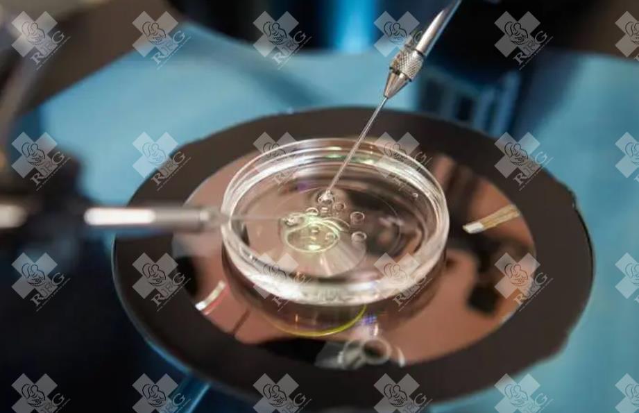 泰国三代试管婴儿成功率有多高？具体有多少高不高