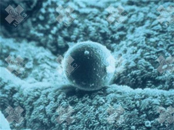 2025江苏省试管成功率前十医院排行榜：口碑与成功案例看这里!