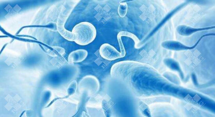 单身精子试管价格高吗？未婚女性精子试管助孕全过程总费用参考