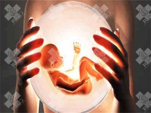 2025年在丰镇市做试管婴儿费用多少？成功率如何？