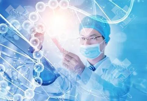 30 岁以下平衡易位做试管：年轻患者胚胎筛选优势与移植策略
