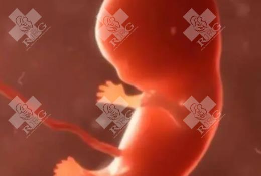 移植冻胚前几天可以房事吗？做试管怎么才能初次成功？