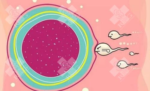 若患者出现OHSS，医生通常会采取哪些治疗措施？