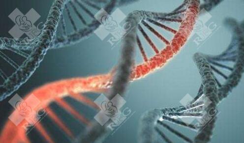 南昌三代试管婴儿辅助妊娠需要多少钱？养一个孩子要花多少钱？