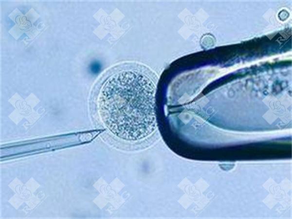 分享2025广州可以做试管婴儿的医院与费用参考！