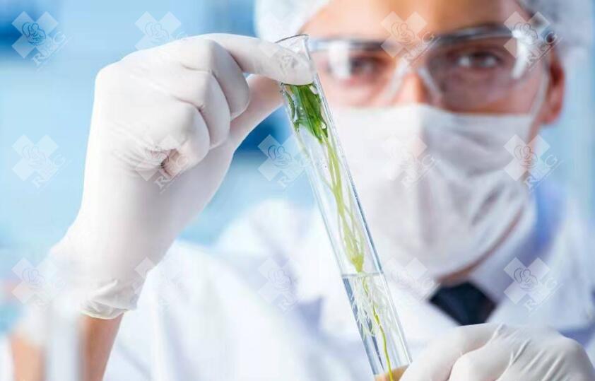 导致宫腔粘连的原因有哪些？哪些人群容易发生宫腔粘连？