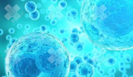精子DNA完整性差，试管婴儿成功率会降低到什么程度？