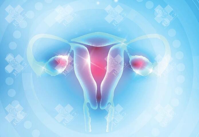 做试管时如何预防宫腔粘连？成功率受哪些因素影响？