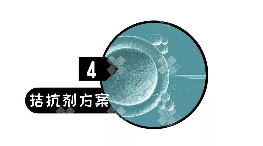 试管婴儿短方案和拮抗剂方案的成功率有什么差异？
